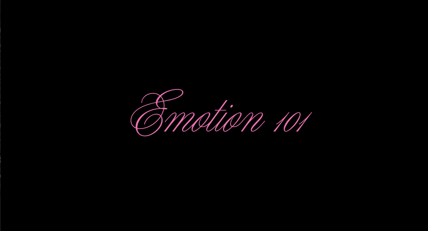 EMOTION101.se